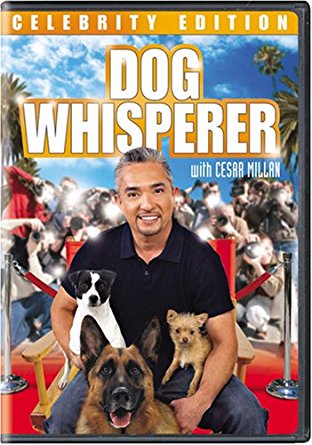 Dog Whisperer with Cesar Millan - Season 8 Episode 3