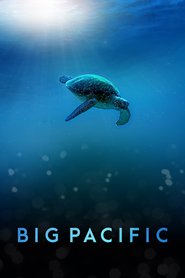 Big Pacific - Season 1 Episode 5