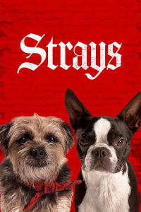 Strays Episode 1